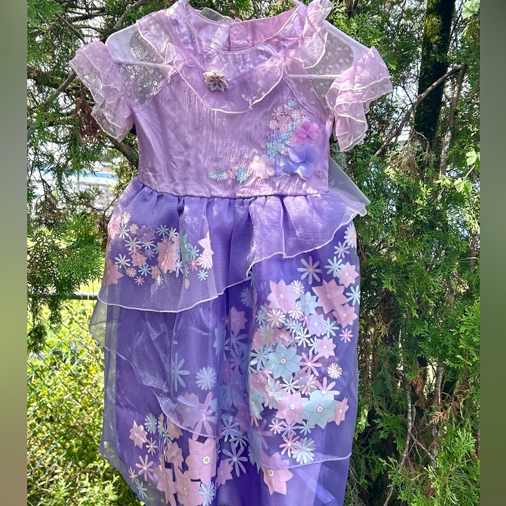 Disney authentic Encanto Isabela Dress